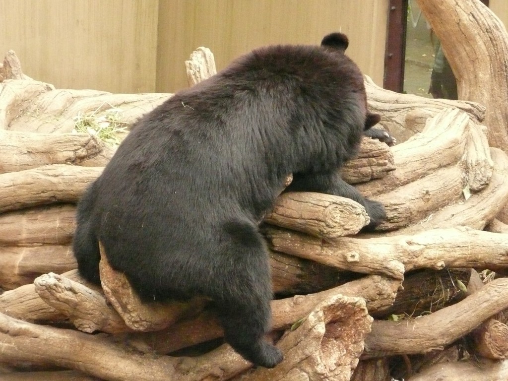 P1070449