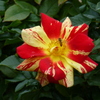 P1000787