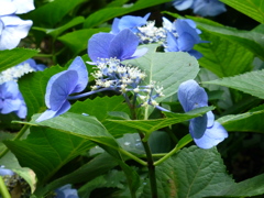 P1000516