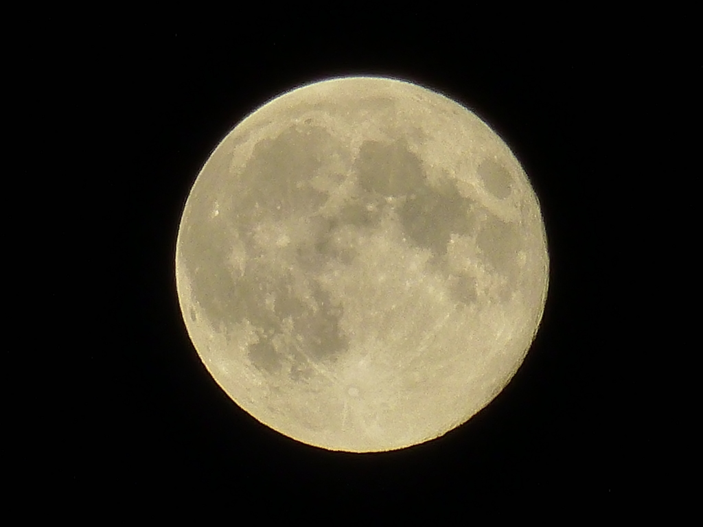 十四夜