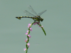 P1000495