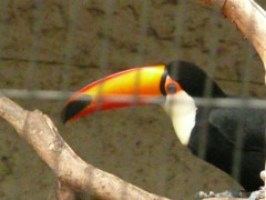 P1070410