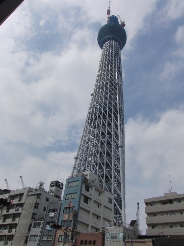 スカイツリ－