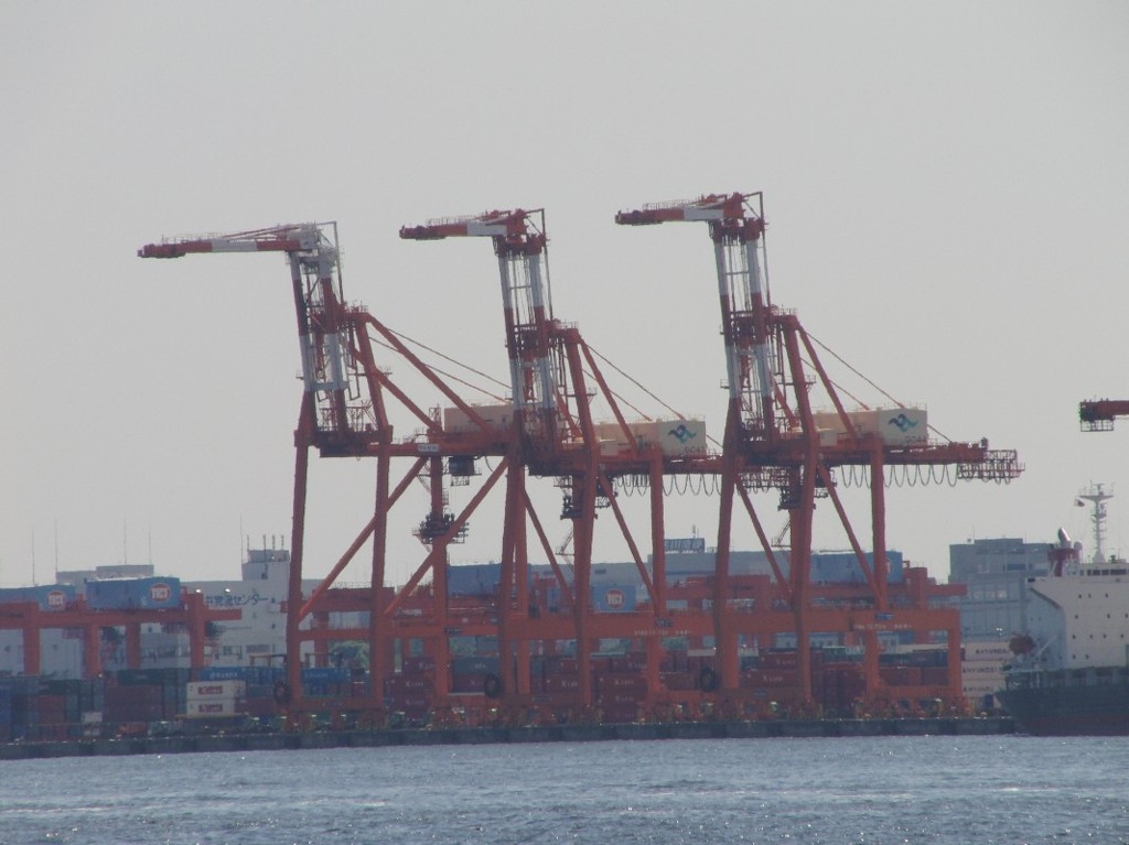 ライオンキング？