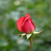 P1000756