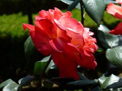 P1000166_1024