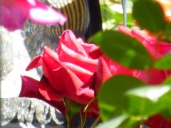 P1000228_1024