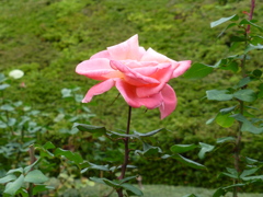 P1000778