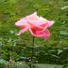 P1000778