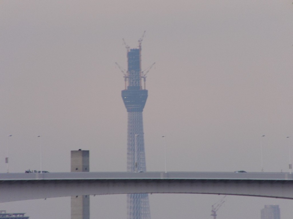 お台場からスカイツリー