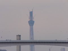 お台場からスカイツリー