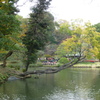 P1010005