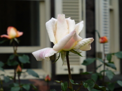 P1000737