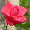 P1000790