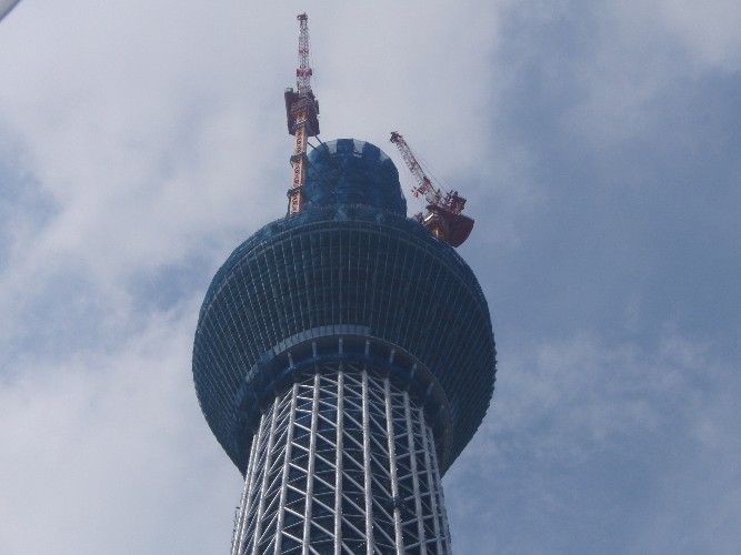 スカイツリ－