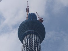スカイツリ－