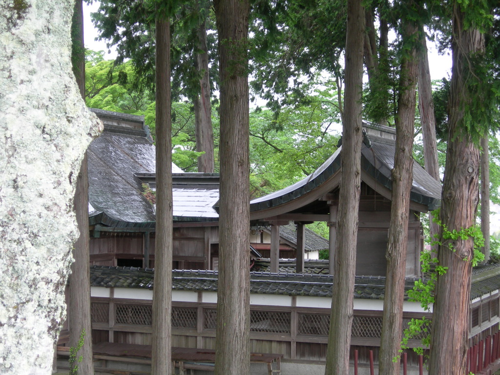 scenery by.sasayamajyo