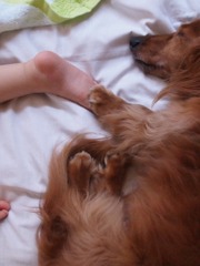 I protect you