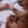 I protect you