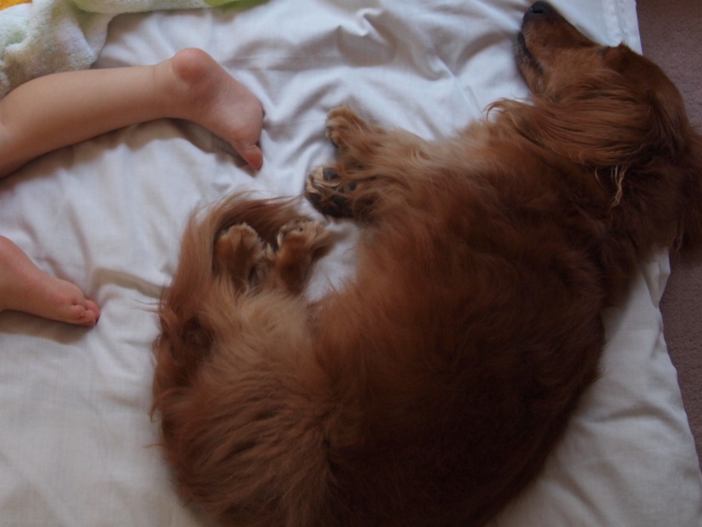 I....protect...  yo..u...