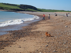 Sevensisters @UK