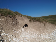 Sevensisters @UK