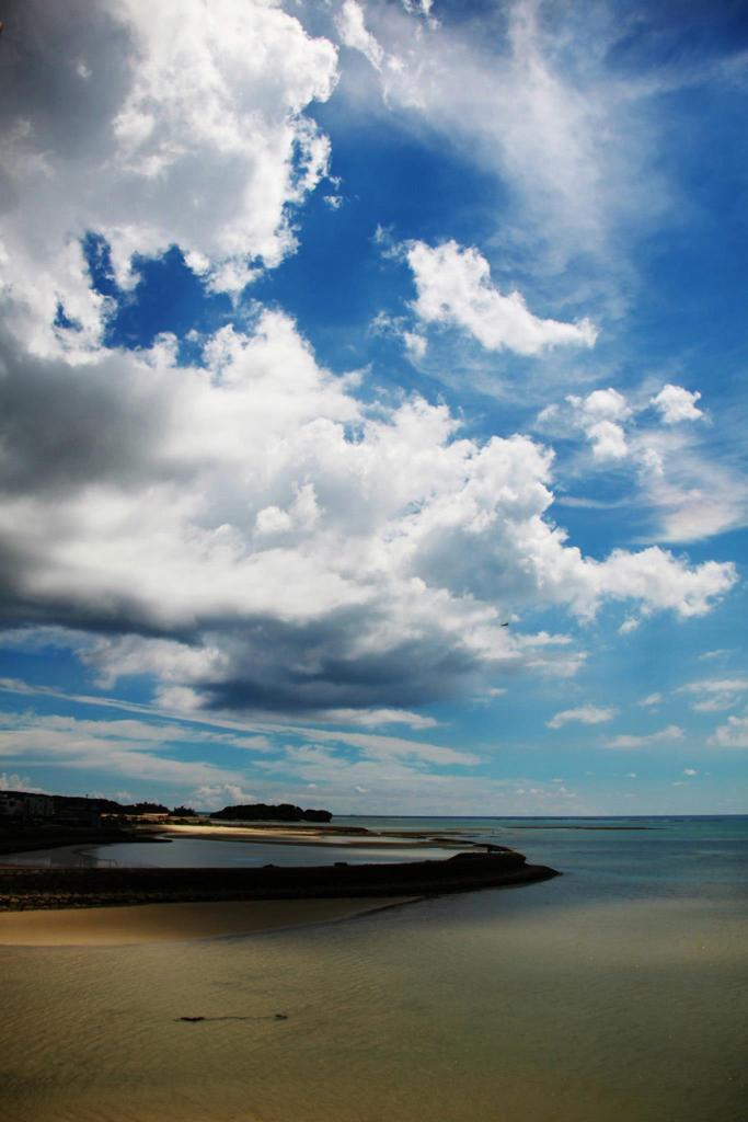 472340_337603499664357_90989797_o