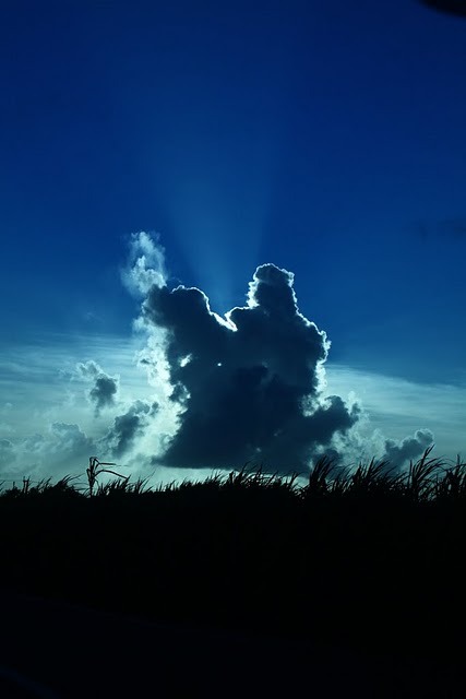 宮古島のざわわと雲