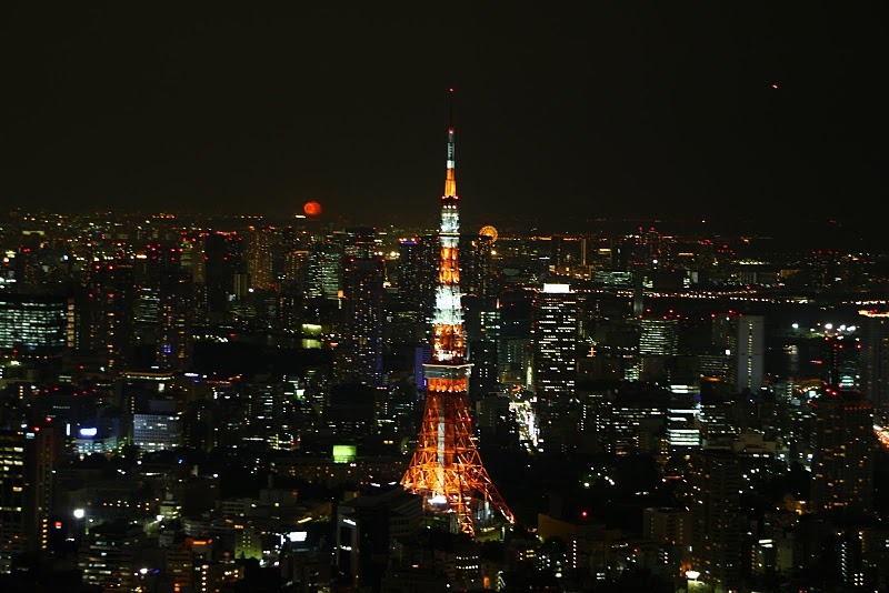 六本木ヒルズからの夜景