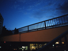 夜
