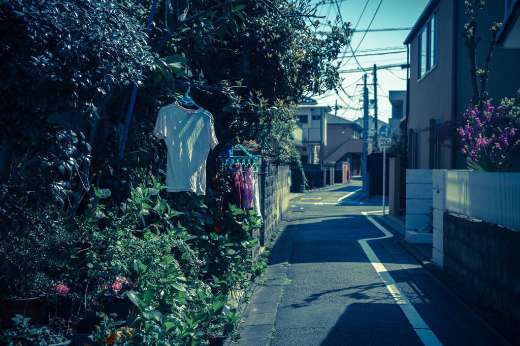 今日見た風景
