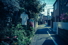 今日見た風景