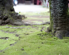 根津神社