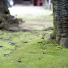 根津神社