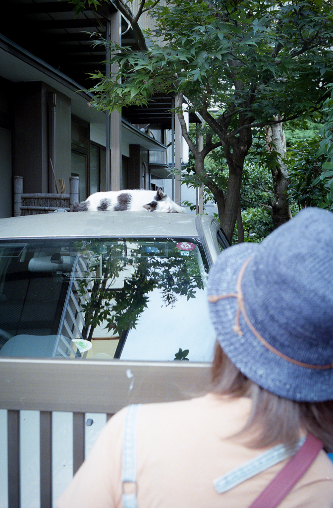 夏のある暑い日　前