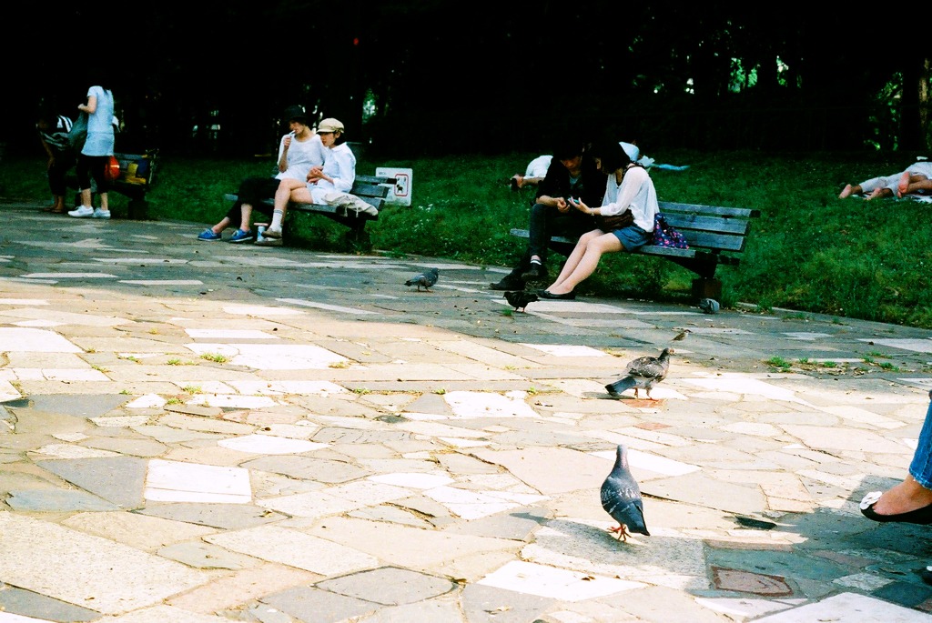 世田谷公園