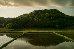 一瞬の風景