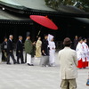 明治神宮にて
