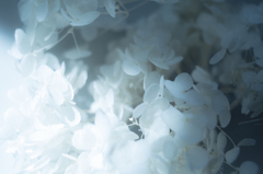 Ambiguous white