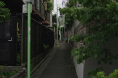 路地