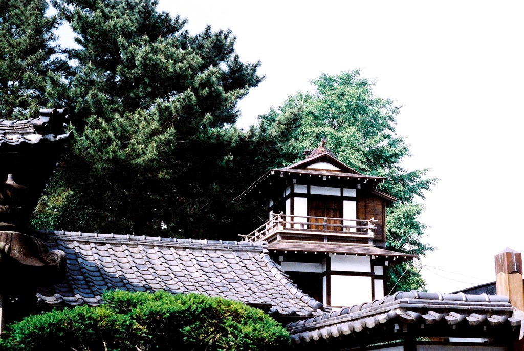 世田谷観音
