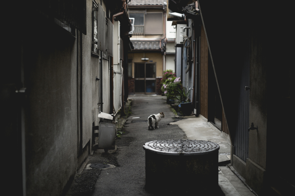 路地に迷い込んで