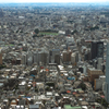 View Photo