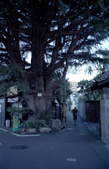 谷中