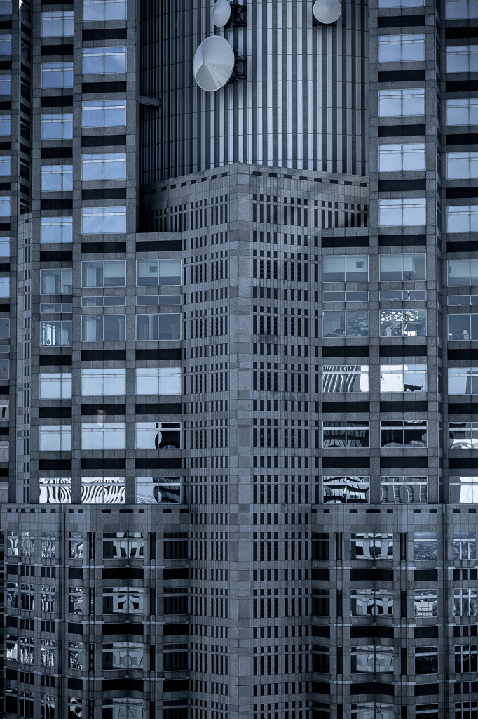 shinjuku******
