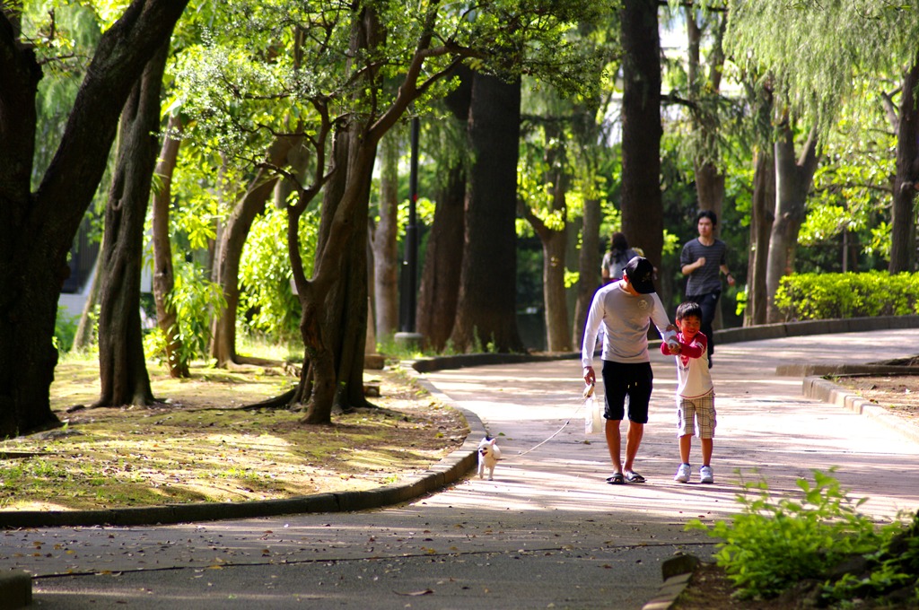 世田谷公園