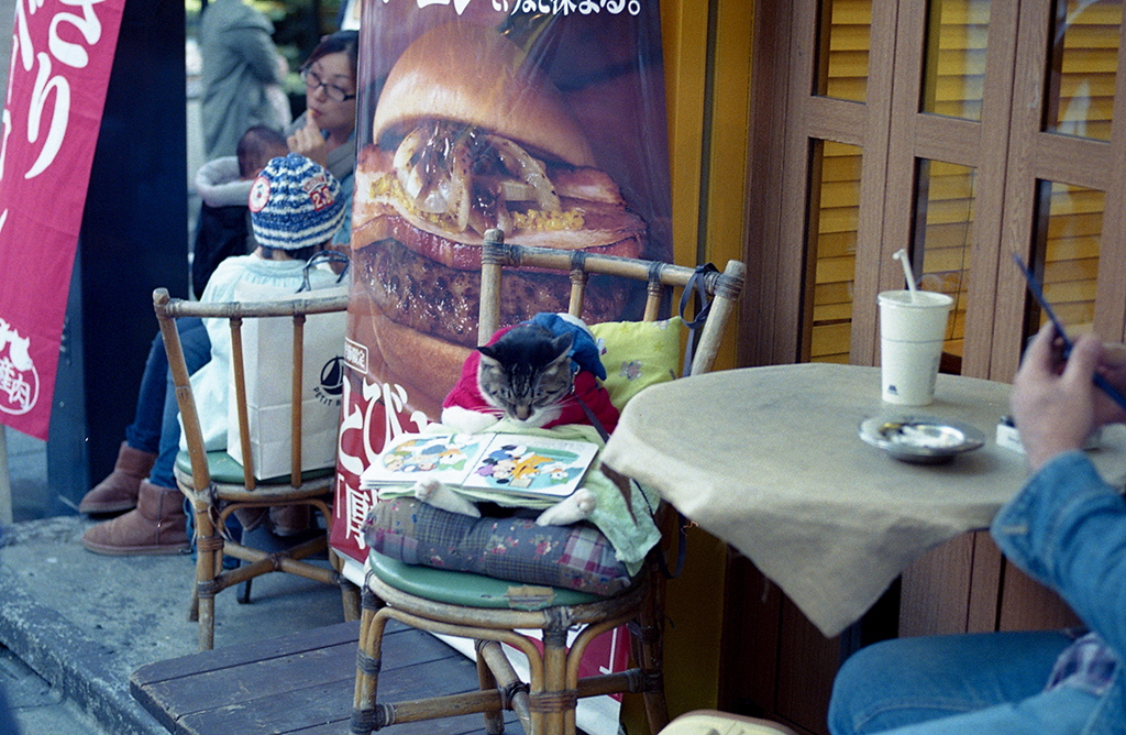 Street photography in the tokyo