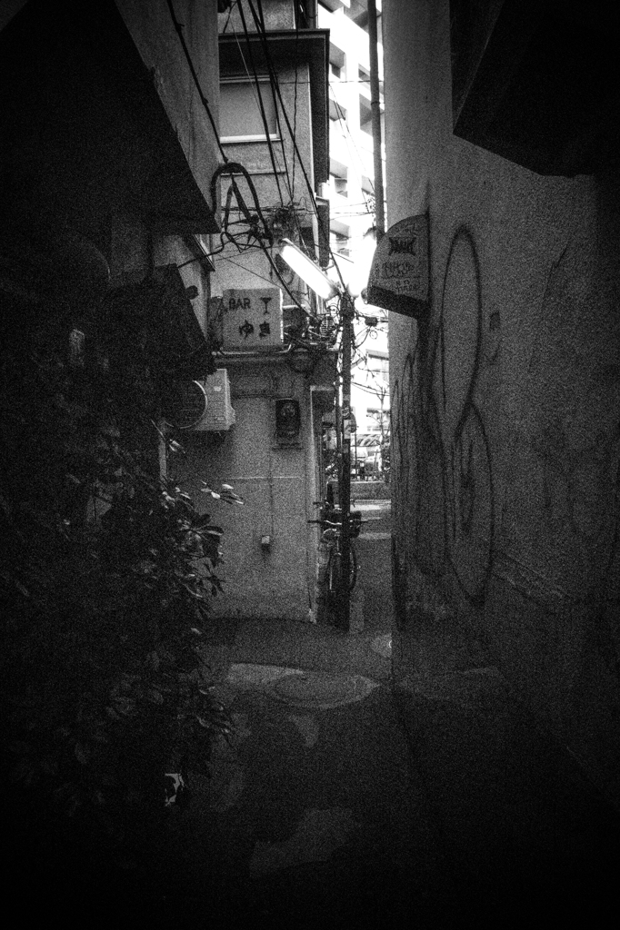 Sangenjaya-4
