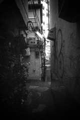 Sangenjaya-4