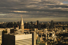 The view of Tokyo 